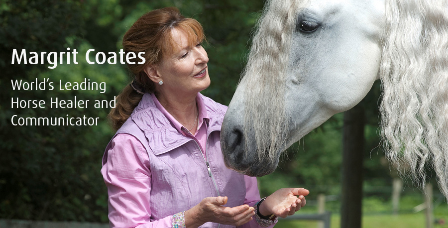 Margrit Coates the Horse Healer, Healing Horses and communicating with Horses